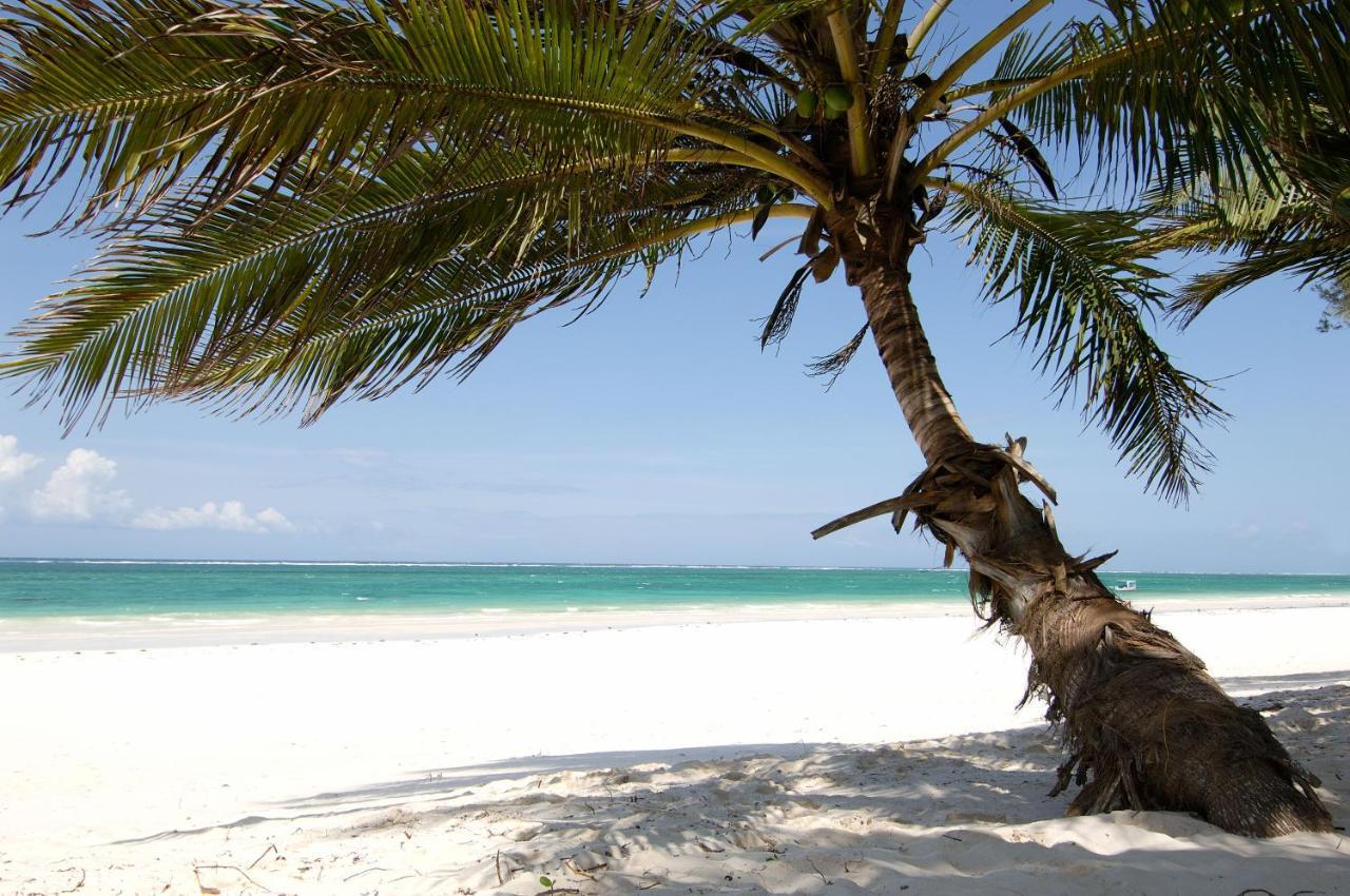 Flamboyant Diani 4* Playa de Diani